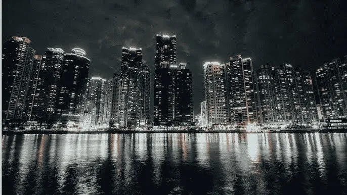 黑社长 - 城市之光：霓虹背后的人间烟火